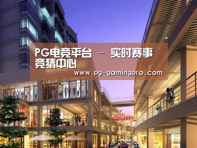 案例展示一(图1)