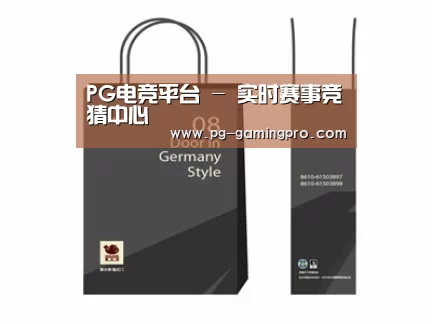 项目名称十四