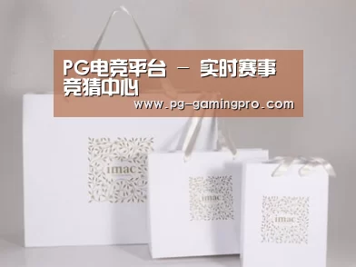 项目名称十一