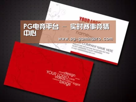 项目名称一