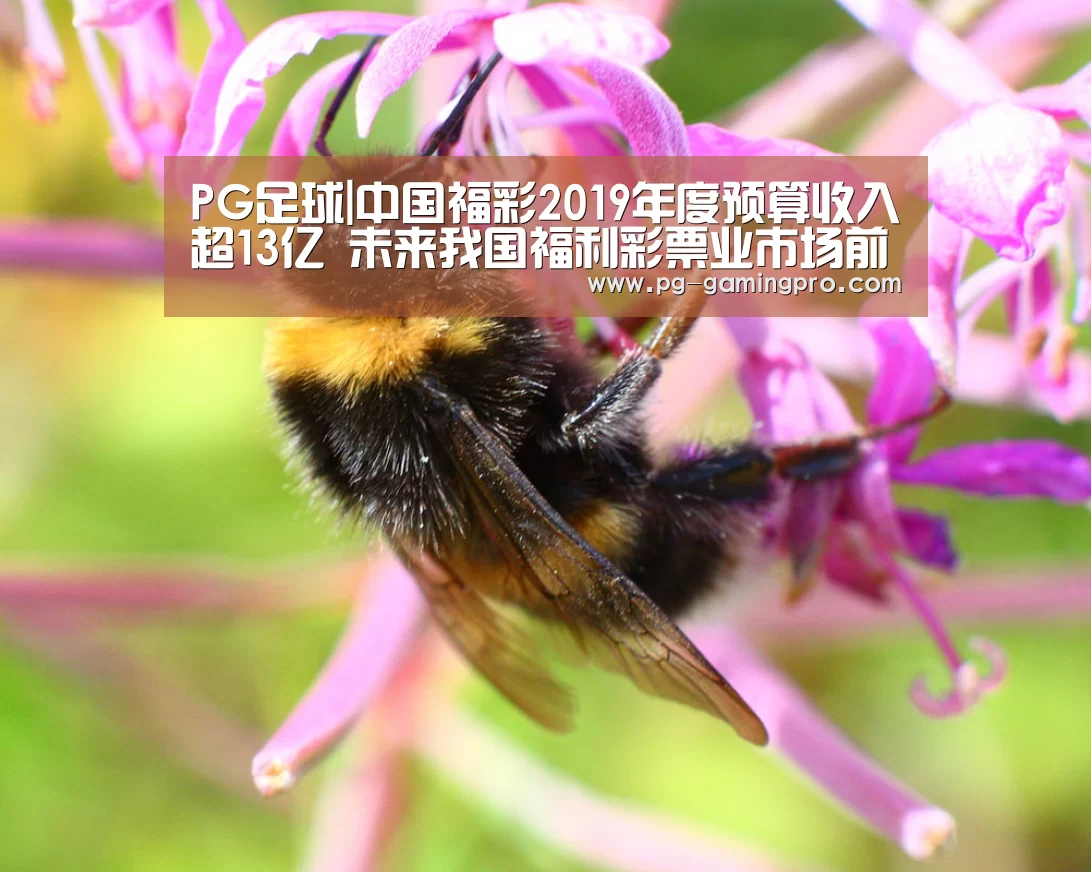 PG竞猜